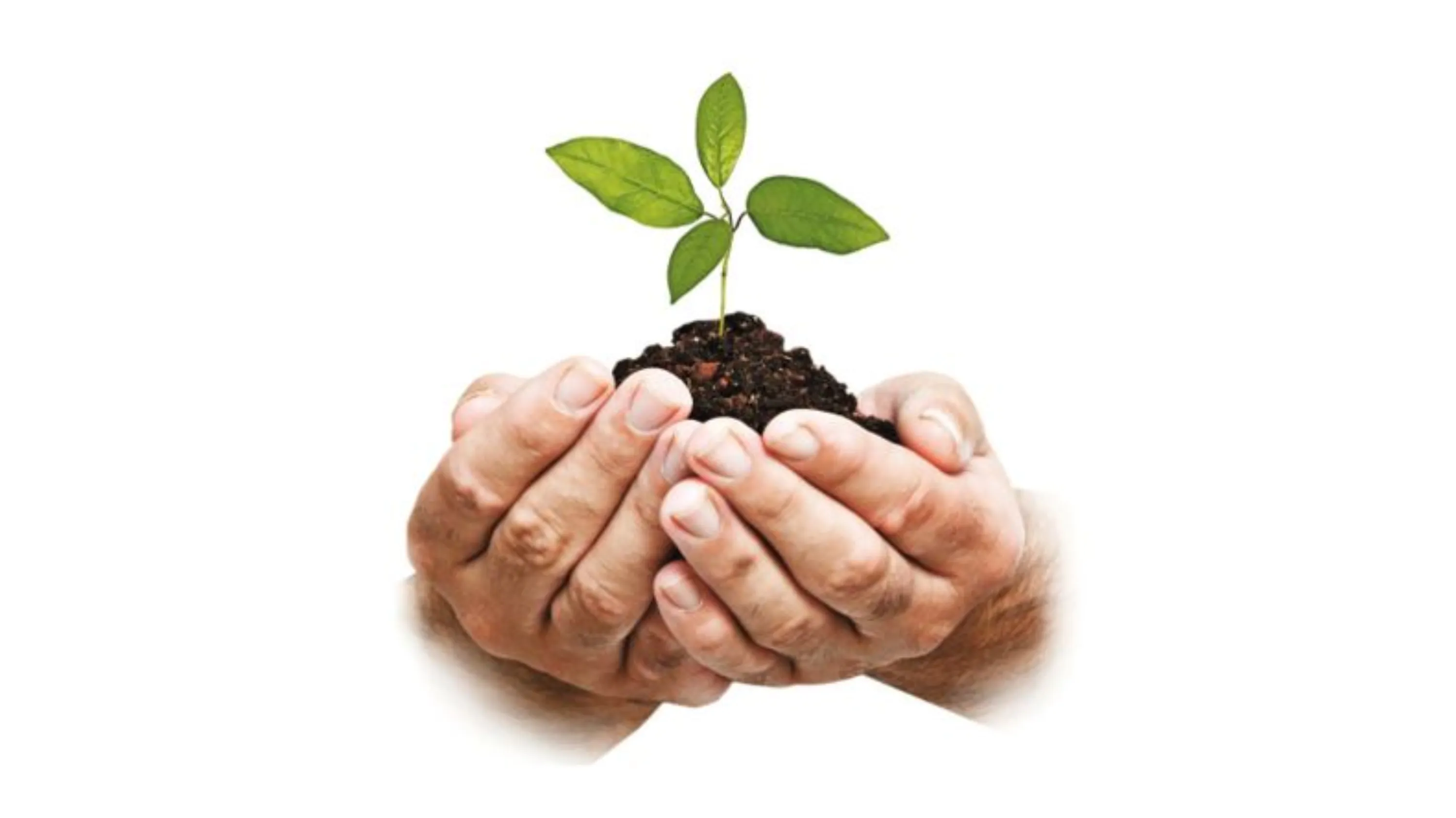 Senior mit zwei Enkeln