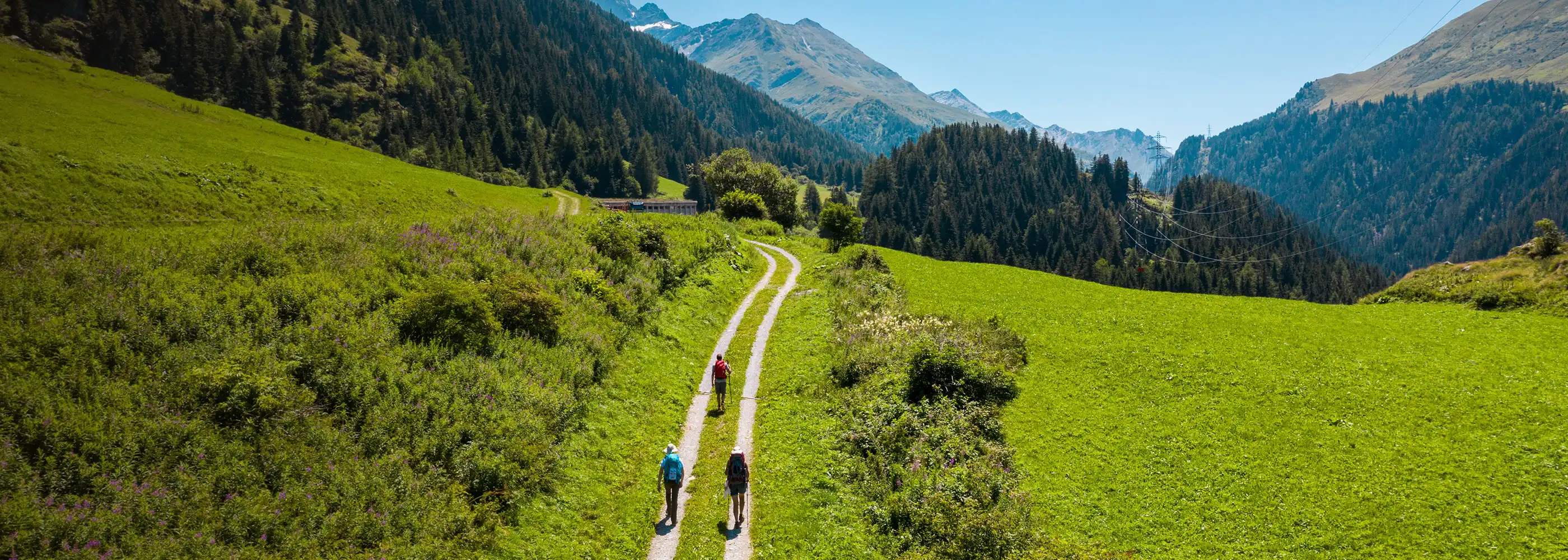 Eine grüne Landschaft mit Bergen und einem Wanderweg