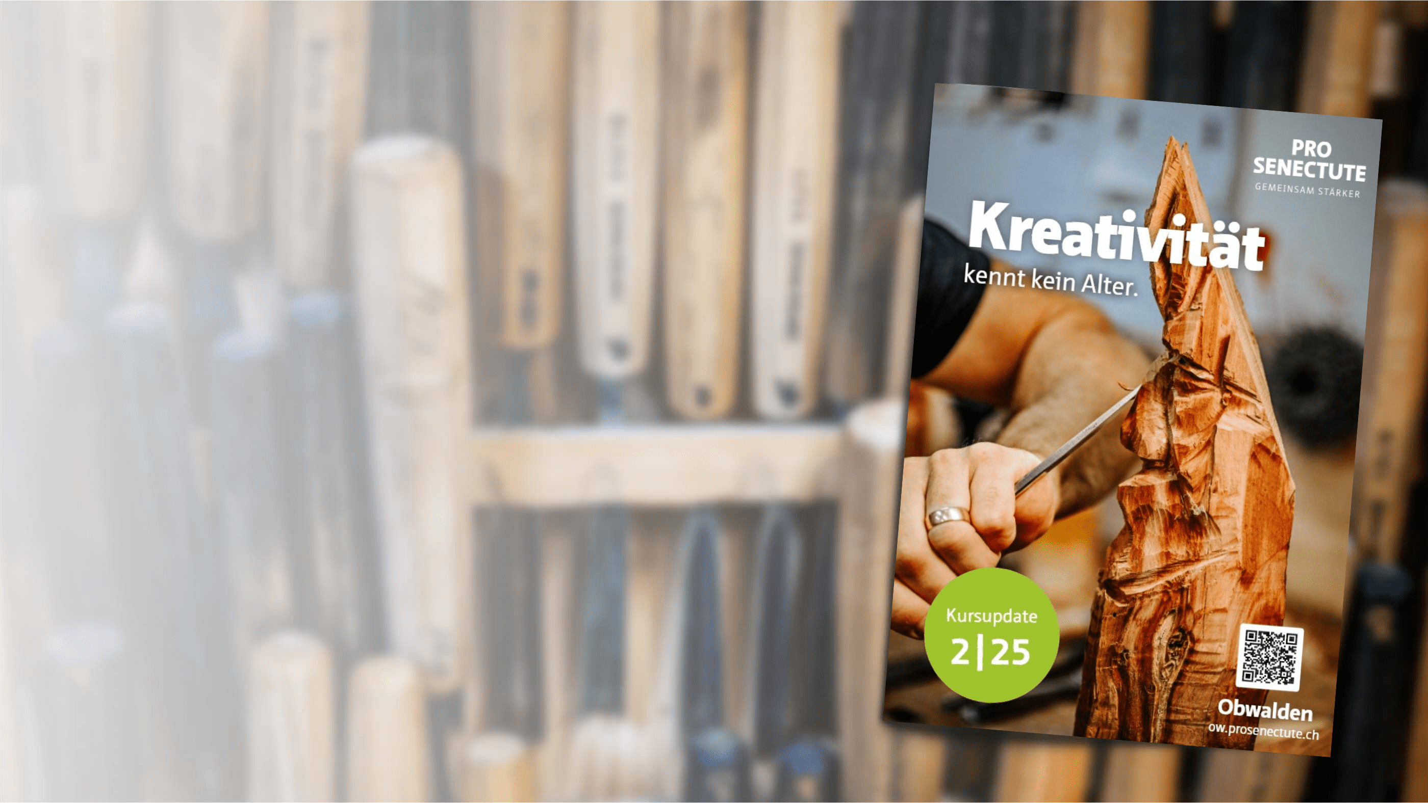 PSOW-Slider-Header-Kursmagazin 2-25 2800x1576